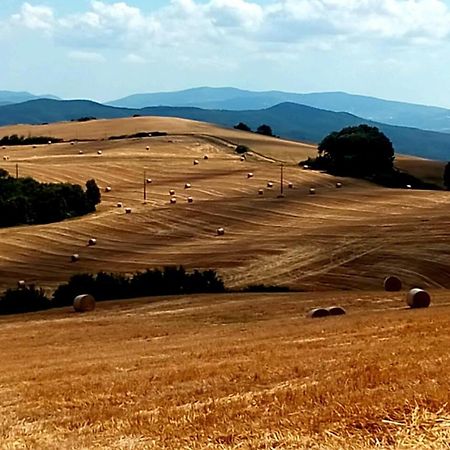 La Pecora Verde San Gimignano Zewnętrze zdjęcie