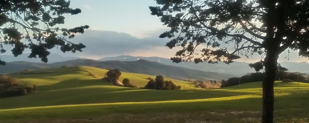 La Pecora Verde San Gimignano Zewnętrze zdjęcie