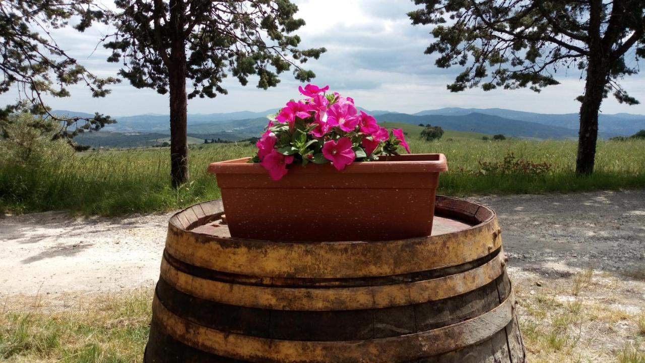 La Pecora Verde San Gimignano Zewnętrze zdjęcie