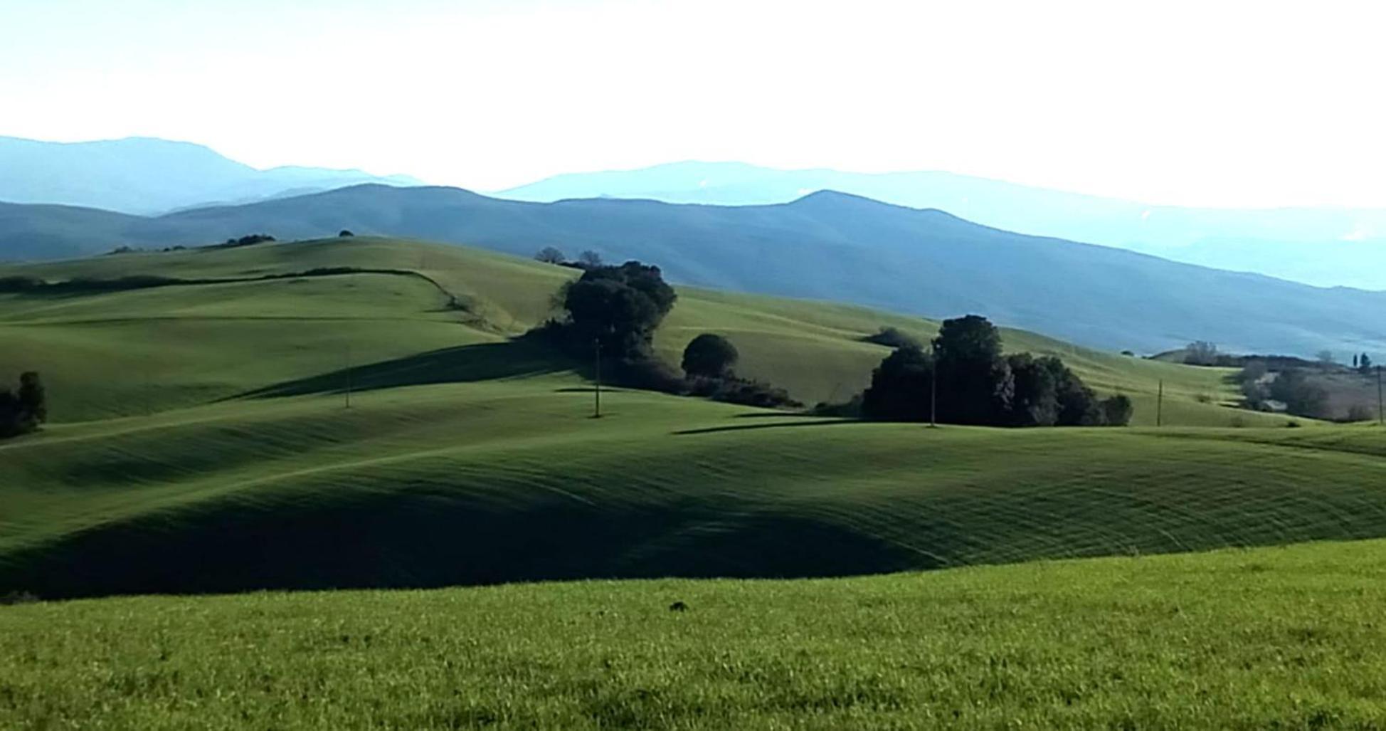 La Pecora Verde San Gimignano Zewnętrze zdjęcie
