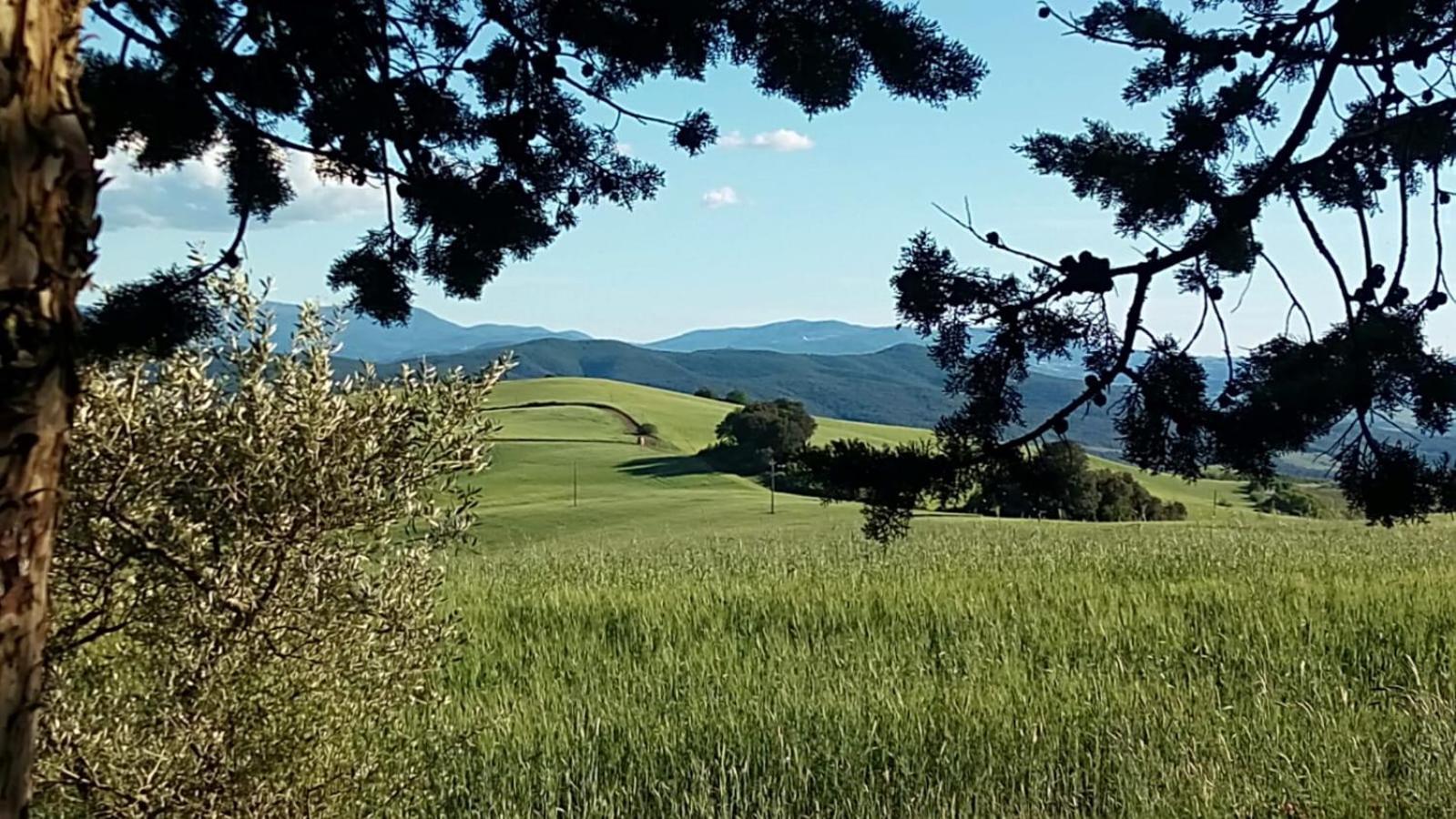 La Pecora Verde San Gimignano Zewnętrze zdjęcie