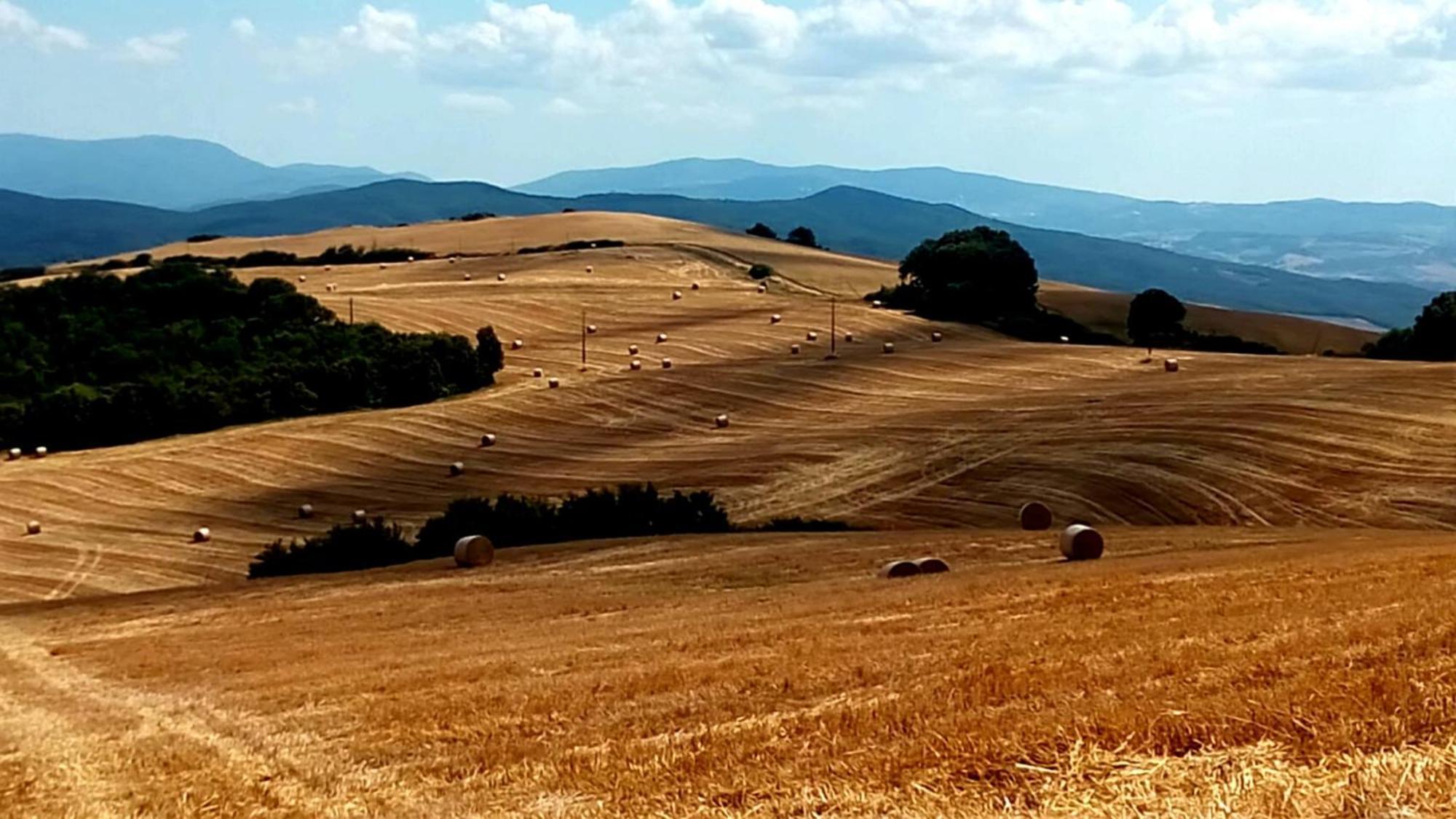 La Pecora Verde San Gimignano Zewnętrze zdjęcie