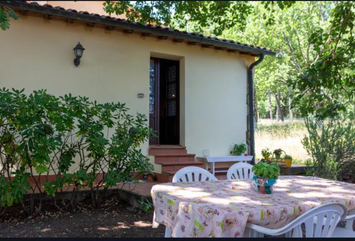 La Pecora Verde San Gimignano Zewnętrze zdjęcie