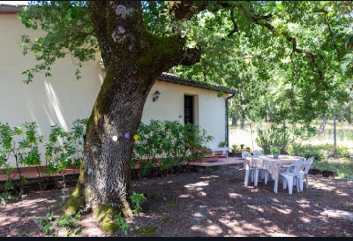 La Pecora Verde San Gimignano Zewnętrze zdjęcie